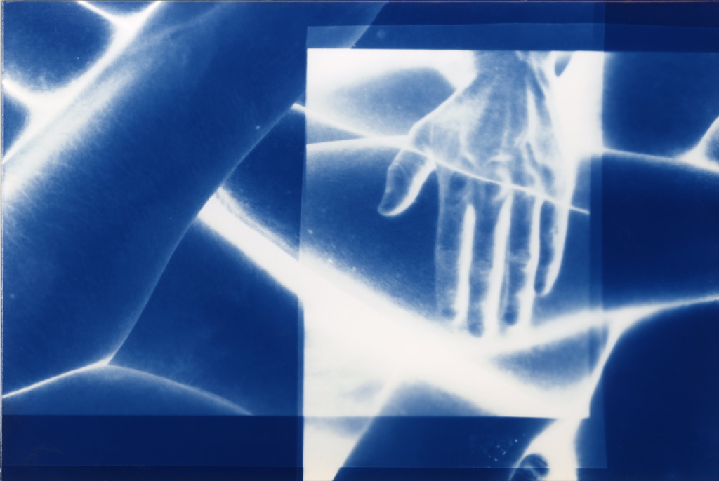 Photographie cyanotype ©Mélanie-Jane Frey