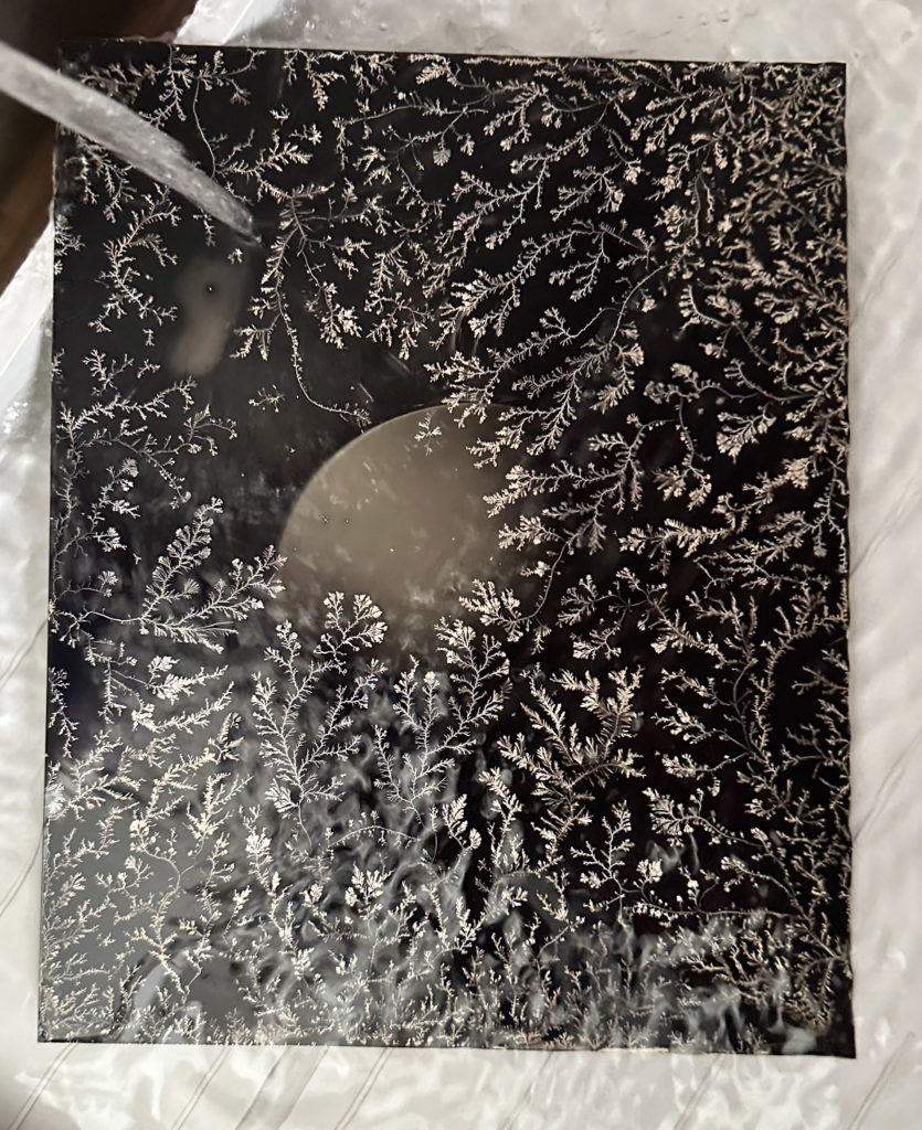 Collodion humide ©Mélanie-Jane FRE