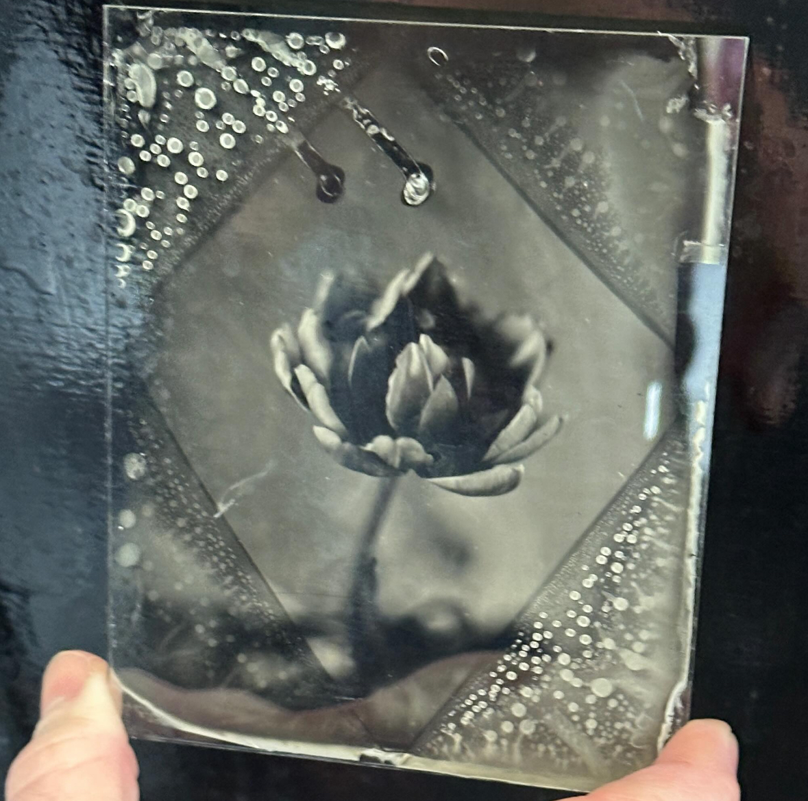 En photo, faire du neuf avec de l’ancien : pourquoi les procédés du XIXᵉ siècle s’imposent dans l’art contemporain En photo, faire du neuf avec de l’ancien : pourquoi les procédés du XIXᵉ siècle s’imposent dans l’art contemporain