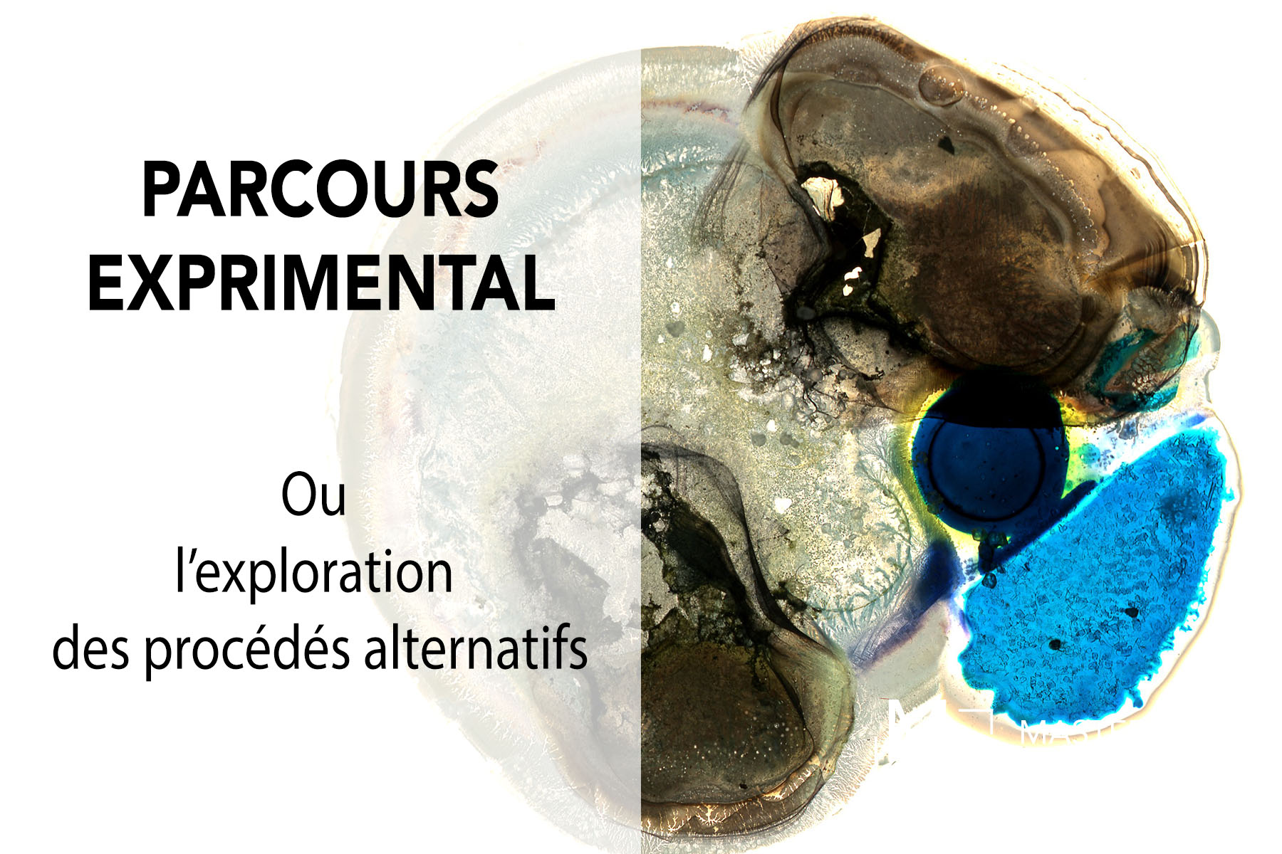 Parcours Expérimental — Formation aux procédés photographiques alternatifs, Studio Ambrotype Paris