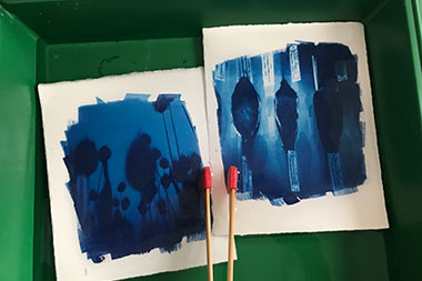 Stage procédés cyanotype