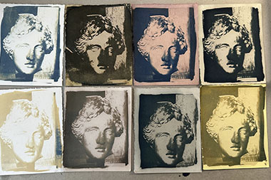 Stage cyanotype niveau II — virages végétaux trichromes